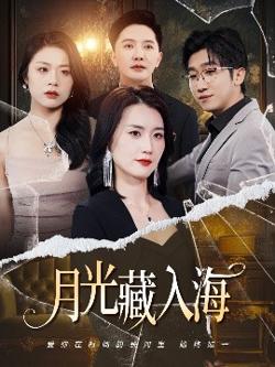 月光藏入海高清播放
