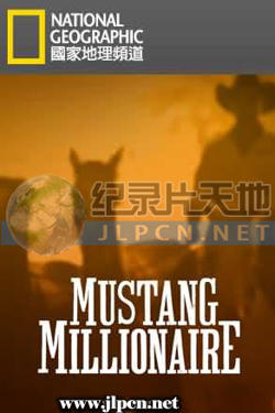 百万驯马大赛高清播放