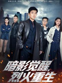 暗影觉醒，烈火重生在线观看
