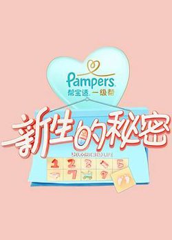 新生的秘密高清播放