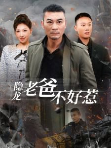隐龙老爸不好惹高清播放