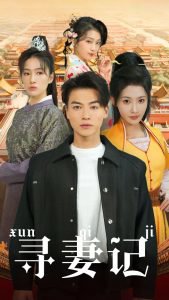寻妻记高清播放