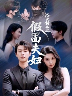 浴火特工之假面夫妇高清播放