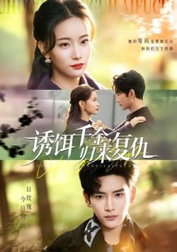 诱饵千金，归来复仇高清播放