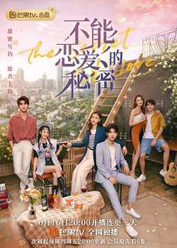 不能恋爱的秘密（越南语版）高清播放