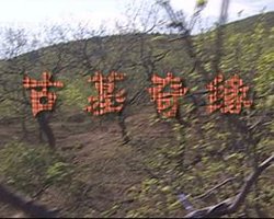 古墓奇缘在线观看