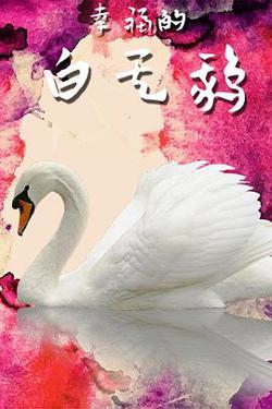幸福的白天鹅在线观看