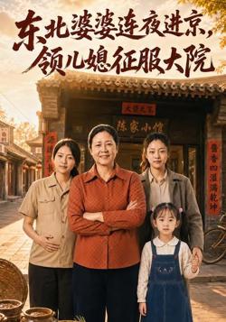 东北婆婆连夜进京，领儿媳征服大院在线观看