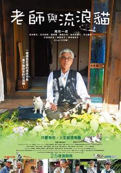 老师与流浪猫高清播放