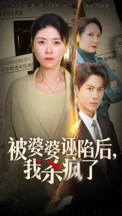 被婆婆诬陷后我杀疯了高清播放