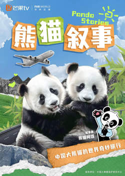 熊猫叙事高清播放