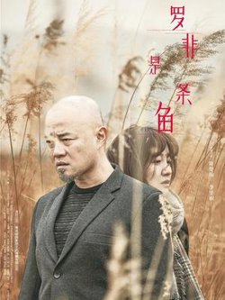 罗非是条鱼高清播放