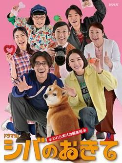 柴犬的规矩我们这群狗痴编辑部在线观看