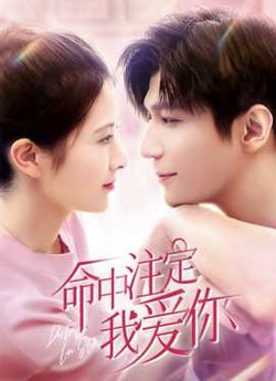 我爱你命中注定高清播放