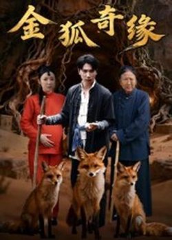 金狐奇缘在线观看