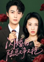 闪婚后陆总又争又抢高清播放
