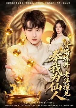 赘婿炼丹，老婆撞见，奉我为仙人高清播放