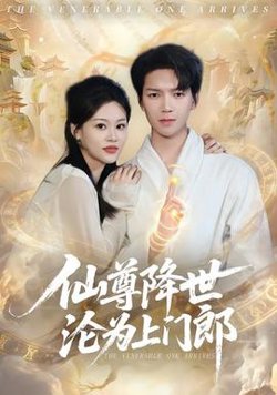 仙尊降世沦为上门郎在线观看