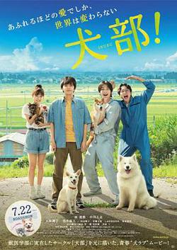 犬部！高清播放