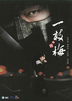 一枝梅高清播放