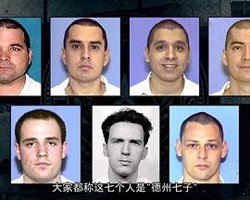 美国最牛越狱在线观看