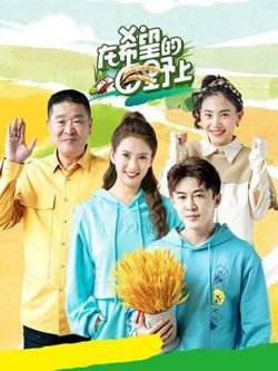 在希望的田野上2022高清播放