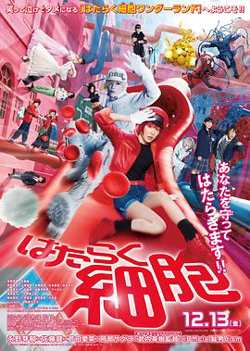 工作细胞真人版高清播放