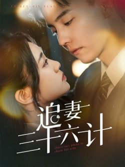 追妻三十六计高清播放