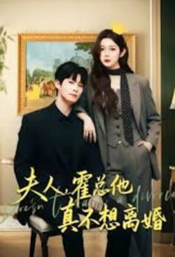 夫人，霍总他真不想离婚高清播放