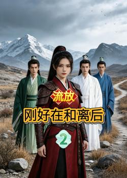 流放刚好在和离后2高清播放