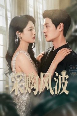 采购风波高清播放