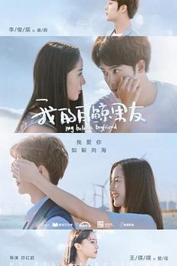 我的白鲸男友第一季高清播放