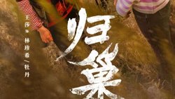 归巢在线观看