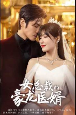 女总裁的豪龙医婿高清播放