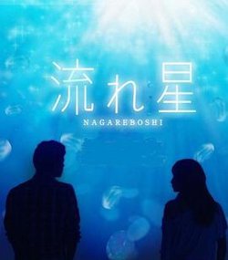 流星2010高清播放