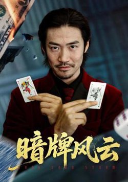 暗牌风云在线观看