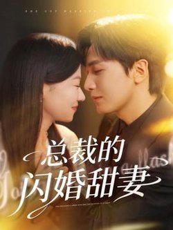 总裁的闪婚甜妻