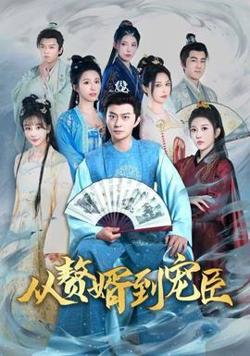 从赘婿到宠臣高清播放