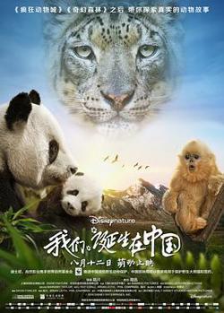 我们诞生在中国在线观看