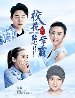 校花的贴心学霸在线观看