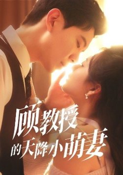 顾教授的天降小萌妻高清播放