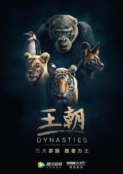 王朝 第一季在线观看