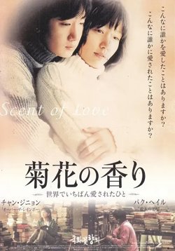 菊花香【影视解说】在线观看