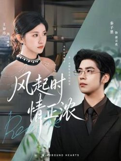 风起时情正浓高清播放