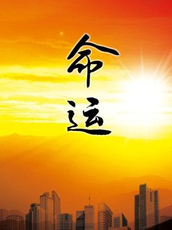 命运1999在线观看