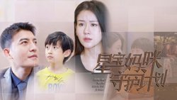 星宝妈咪守护计划高清播放