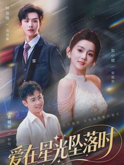 爱在星光坠落时高清播放