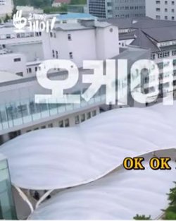 ok？ok！在线观看