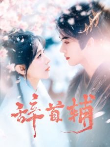 辞首辅在线观看