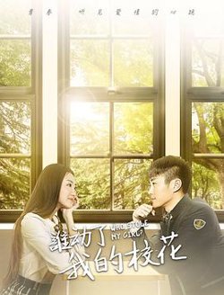 谁动了我的校花高清播放